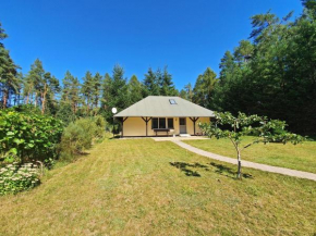 Ferienhaus im Wald Luebberstorf WEST 361